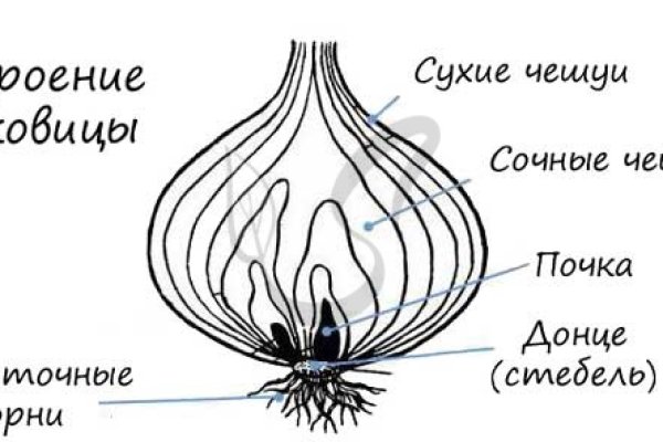 Как зайти на kraken маркетплейс