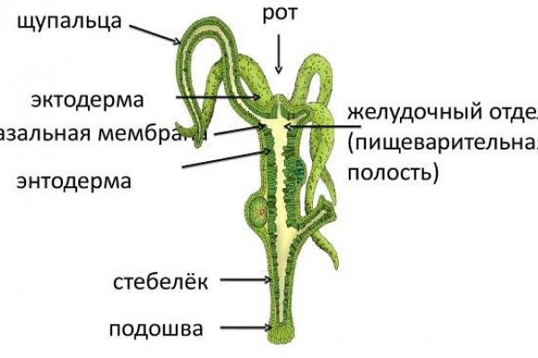 Каталог сайтов даркнет